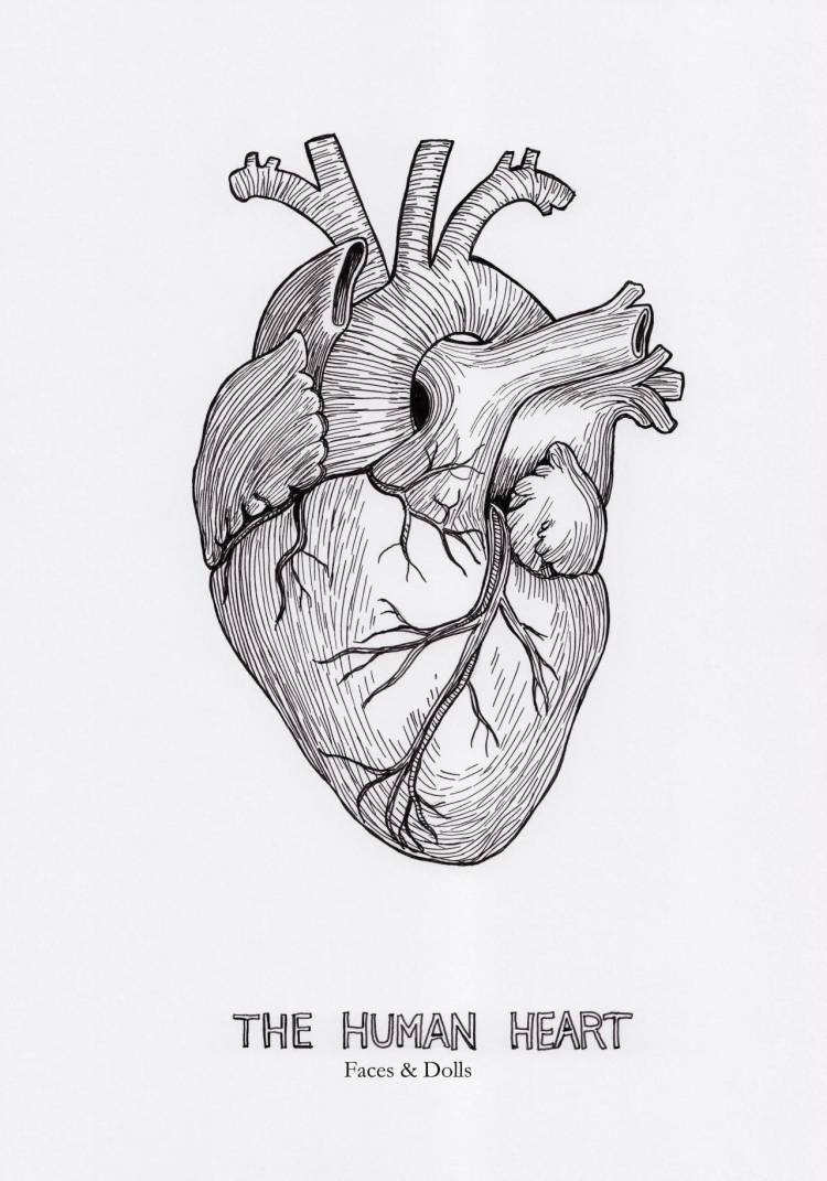 Сердце человека нарисованное карандашом