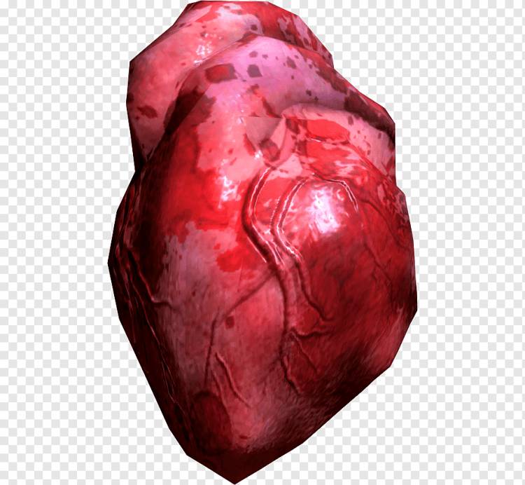 человеческое сердце png