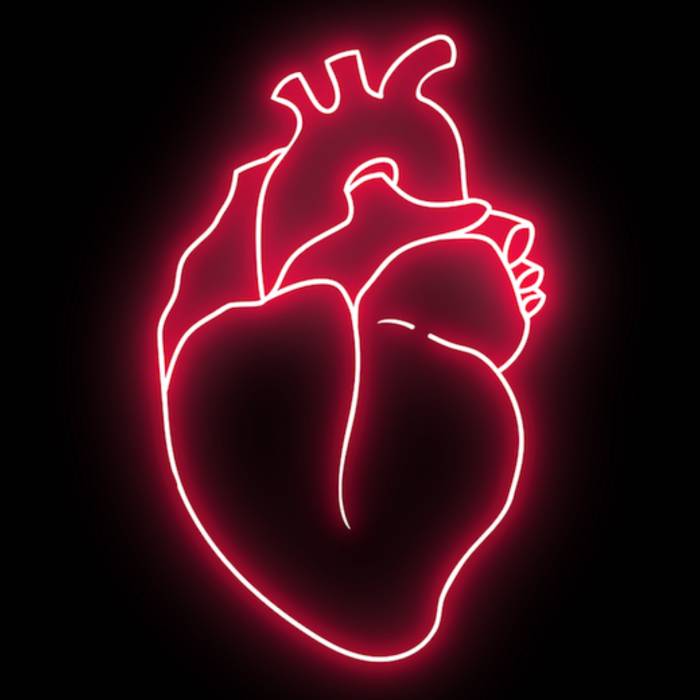 Наклейка анатомическое сердце PNG