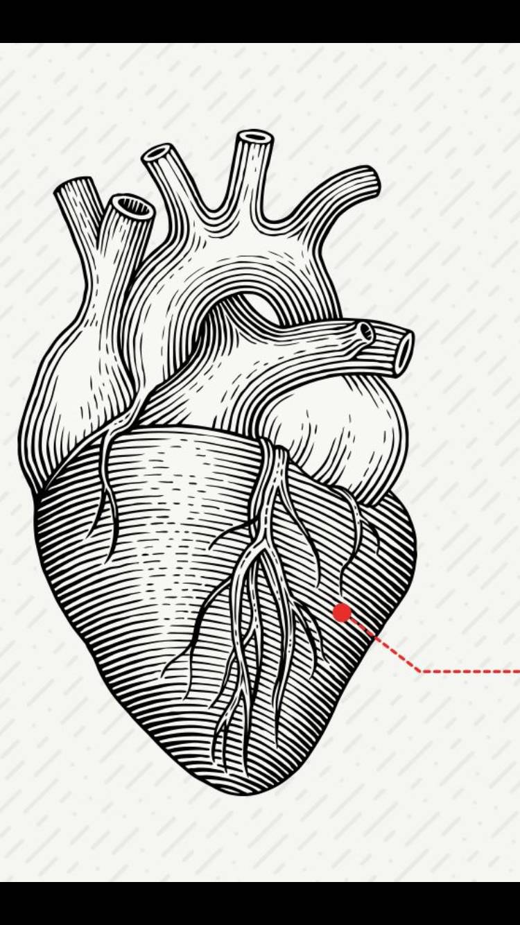 Сердце человека нарисованное карандашом