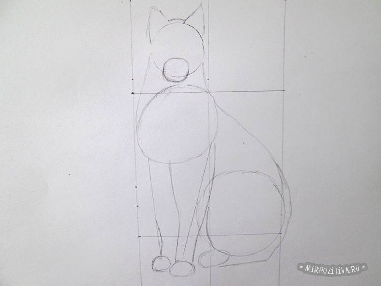 Как нарисовать кота карандашом поэтапно