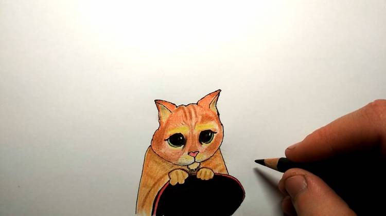 Как нарисовать Кота в сапогах из Шрека