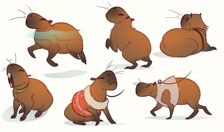 Pin on Capybaras