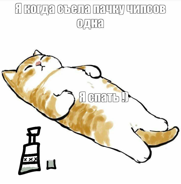 Создать мем стикеры котики, рисунки милых котиков, рисунки котиков