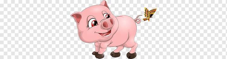 мультфильм свинья, карикатура, животное, прекрасно png