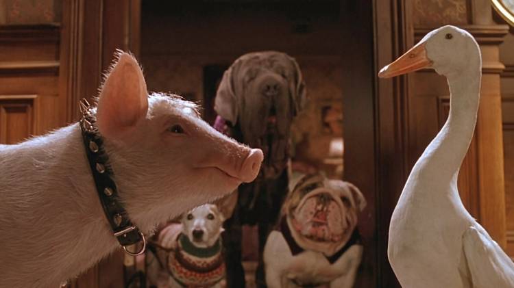трогательных и увлекательных фильмов про домашних животных