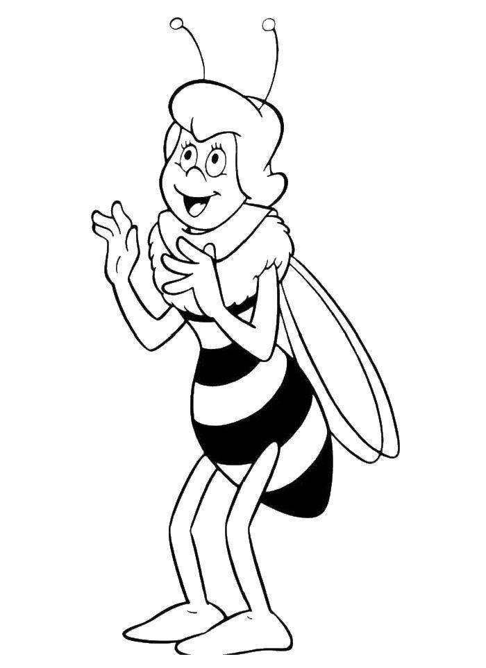 Раскраски мисс, Раскраска Учительница пчела мисс кассандра пчелка Мая