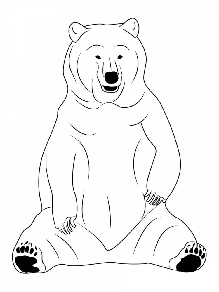 Большой медведь раскраска