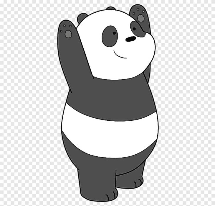Срисовки Панды из мультсериала Вся правда о медведях 