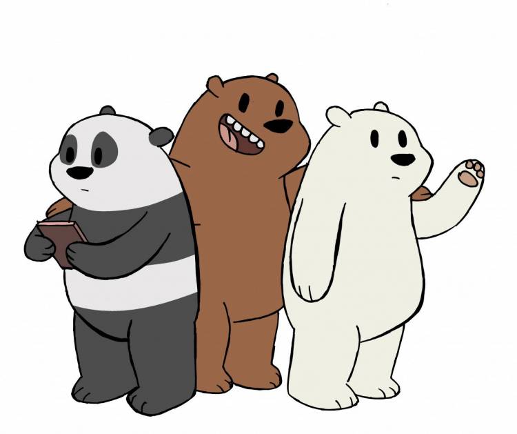 Вся правда о медведях белый картинки