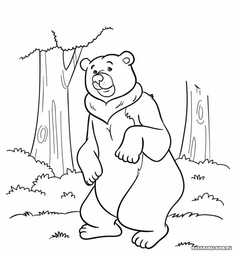 Сапгир про медведя раскраска