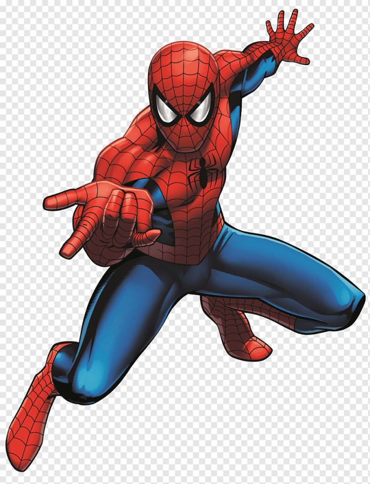 Marvel Spider-Man иллюстрация, Человек-паук Капитан Америка Железный Человек Ноксвилл Супергерой, паук, герои, насекомые, кроссовки png