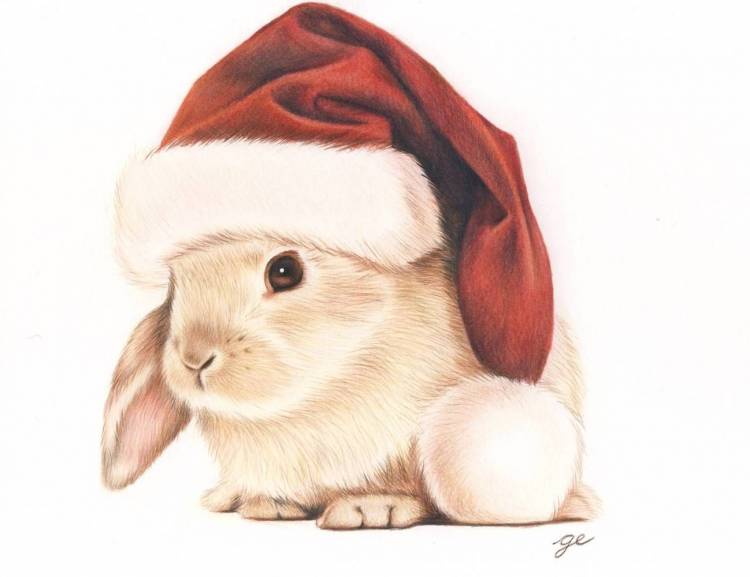 Нарисованный кролик новогодний
