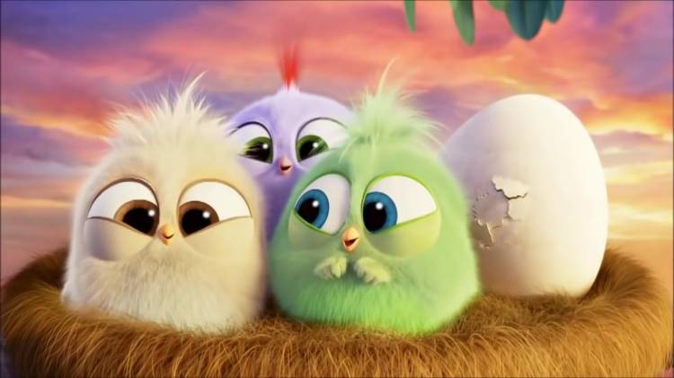 Энгри Бердс мультики для детей ЗЛЫЕ ПТИЧКИ Angry Birds funny c
