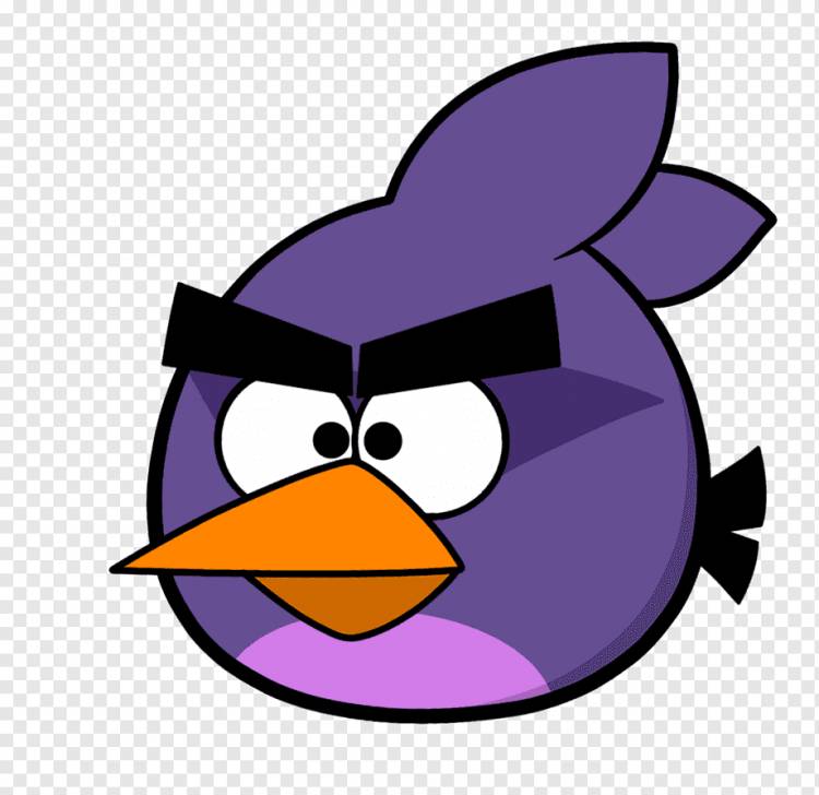 Angry Birds Space Angry Birds Seasons Птица собирает Бутылку, крутые девчонки, фиолетовый, игра, видеоигра png