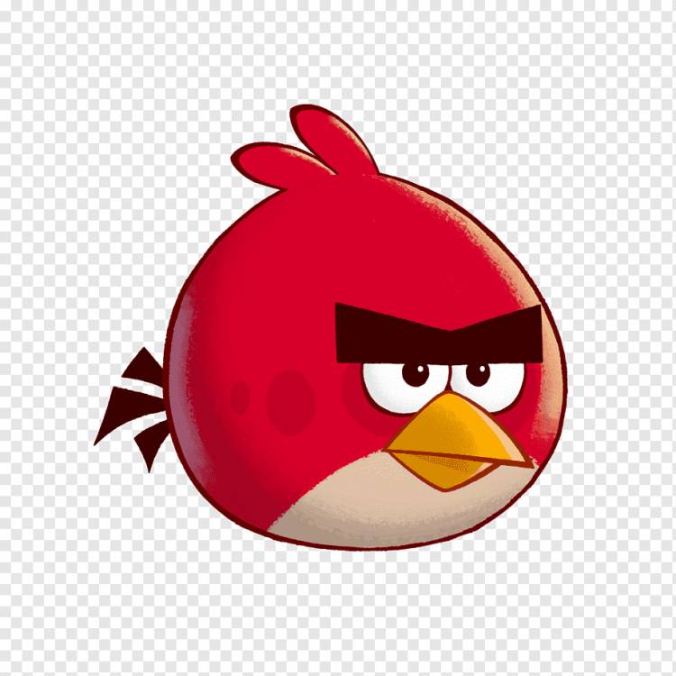 Angry Birds Seasons Angry Birds Space Angry Birds Стелла Angry Birds Рио, Злая птица, игра, текст, видео Игра png