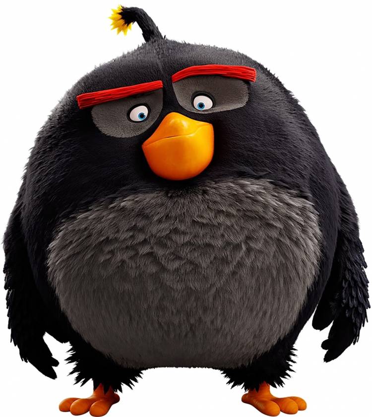 Бомб из мультфильма «Angry Birds в кино» 