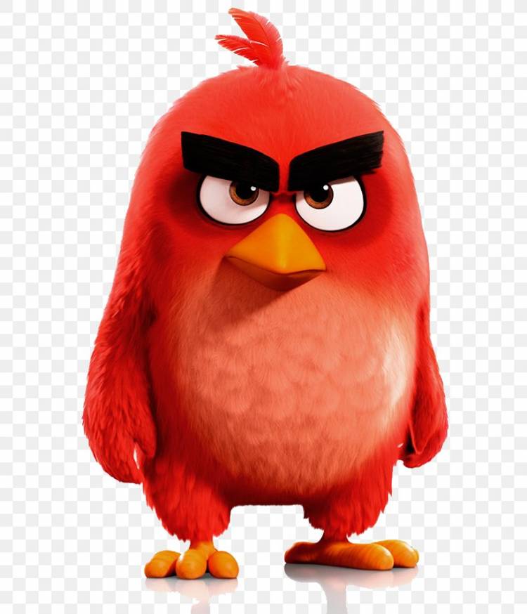 Angry Birds Stella YouTube Film, PNG