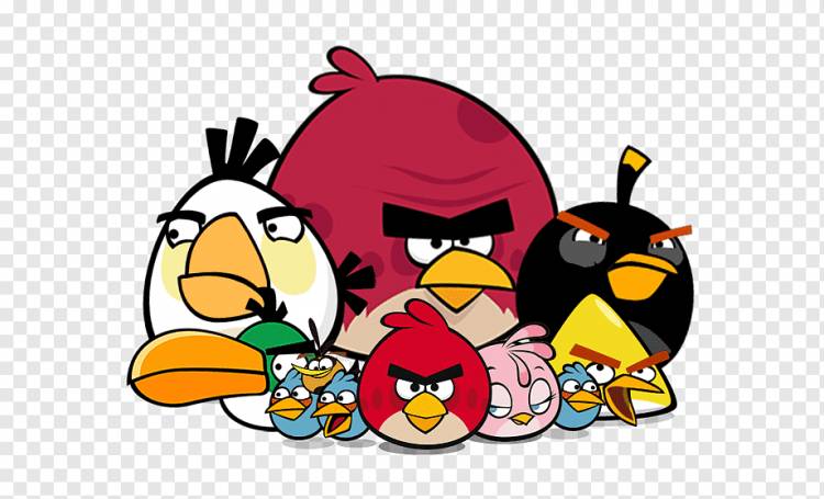 Angry Birds, Angry Birds, позвоночный, птица, злой Птицы Фильм png