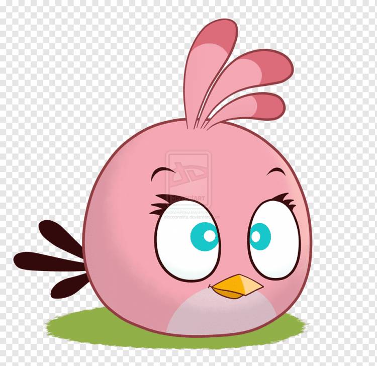 Angry Birds Stella Angry Birds Friends Angry Birds Space, Angry Birds, mammal, vertebrate, color png