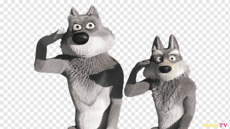 Маша серый волк персонаж мультфильма маша, собака Like Mammal, другие, сибирская лайка png