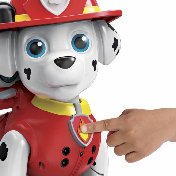 Paw Patrol