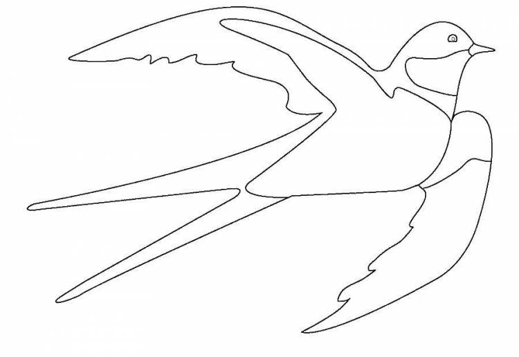 Раскраски Раскраска Ласточка Контуры для вырезания птиц, Раскраски скачать и распечатать бесплатно
