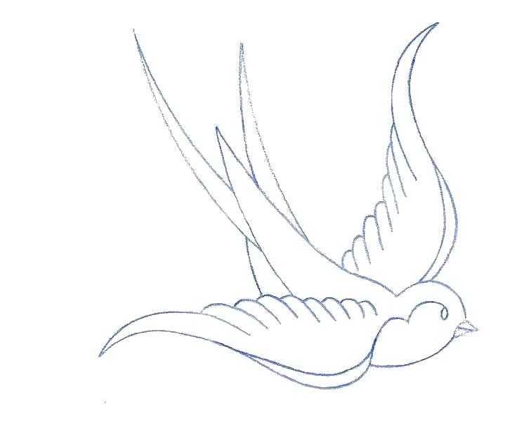 Раскраски Раскраска Ласточка Контуры для вырезания птиц, скачать распечатать раскраски