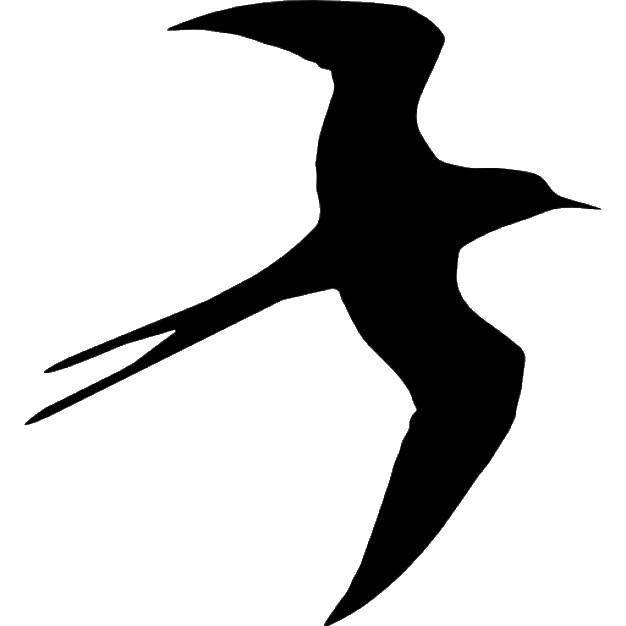 Раскраски черный, Раскраска Черный контур ласточки Контуры для вырезания птиц
