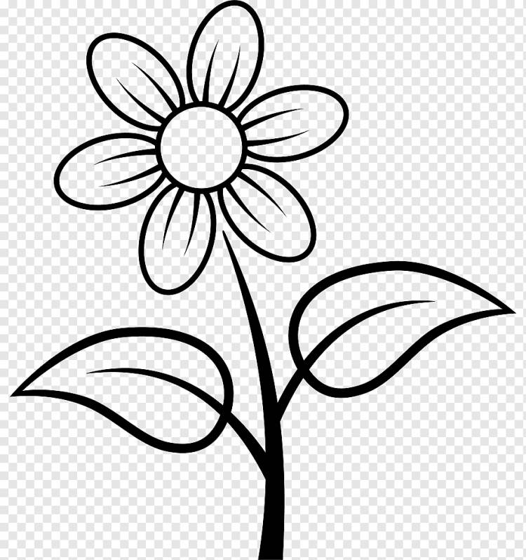 Цветок, цветок, шаблон, белый, лист png