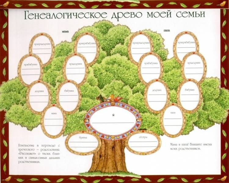 Делаем генеалогическое дерево своей семьи своими руками