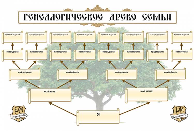 Генеалогическое древо в Ворде