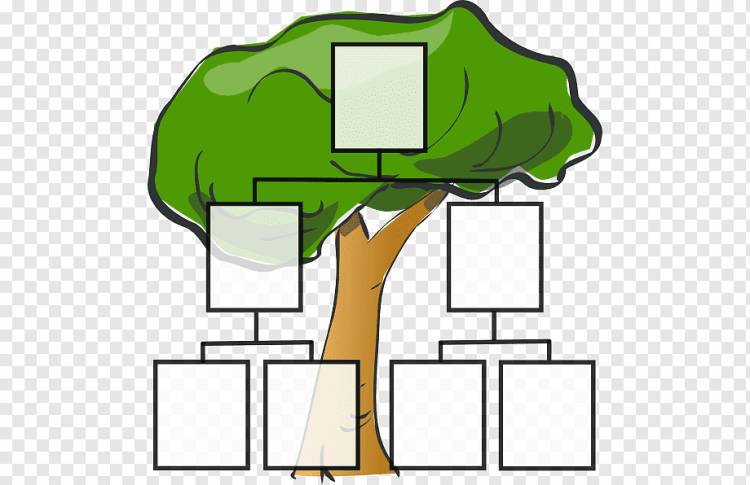 Генеалогическое древо, Анимированная семья, шаблон, презентация, трава png