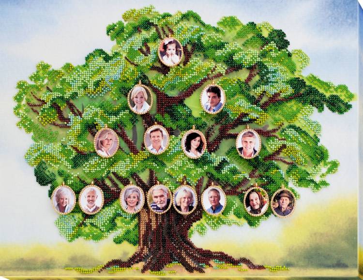 Генеалогическое древо семьи