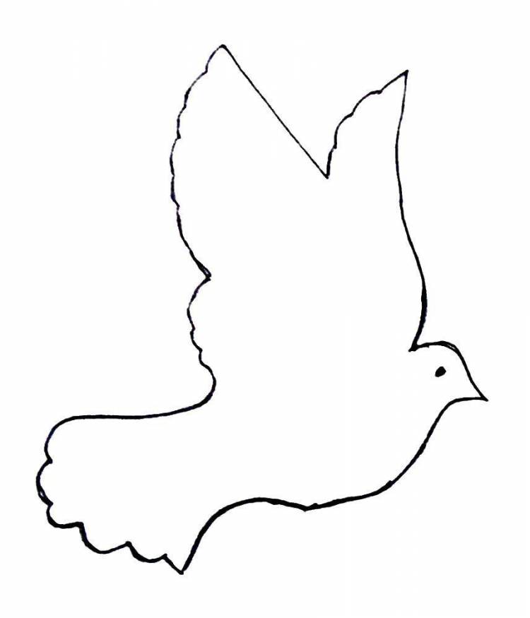 Раскраски птиц, Раскраска Шаблон голубя Контуры птиц