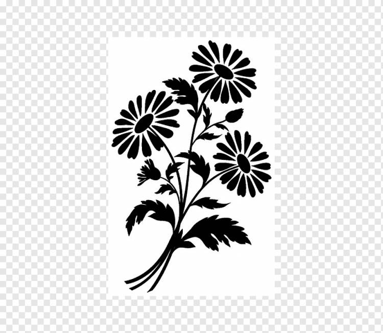 Ромашка силуэт рисунок цветок, ромашка, лист, ветка, монохромный png