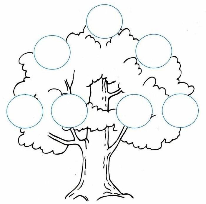 Родословное дерево контурный рисунок 