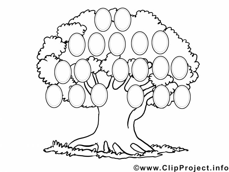 Семейное древо рисунок шаблон