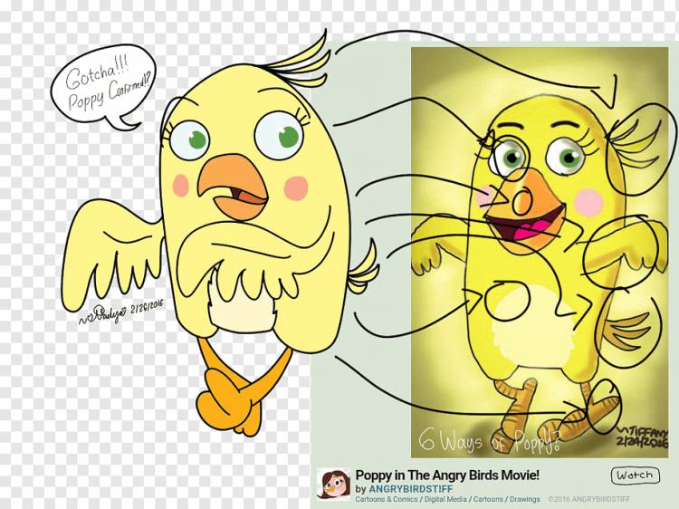 Angry Birds Stella Рисование Млекопитающих, Angry Birds Stella, млекопитающее, еда, текст png
