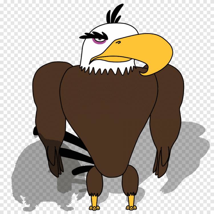 Мустанг могучий орел белоголовый орлан Angry Birds Epic Angry Birds