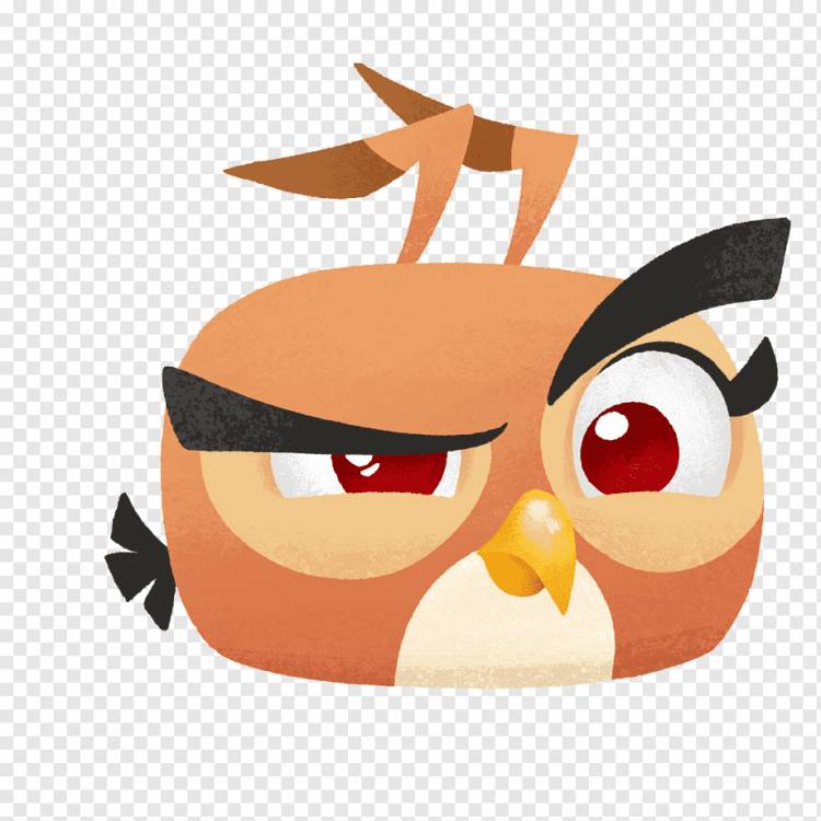 Angry Birds Go!Angry Birds Star Wars Angry Birds Evolution Разрушить замок, Картина маслом крутые злые птицы, акварель, игра, galliformes png