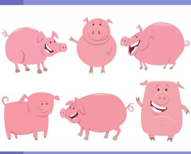 Набор персонажей мультфильма смешные свиньи