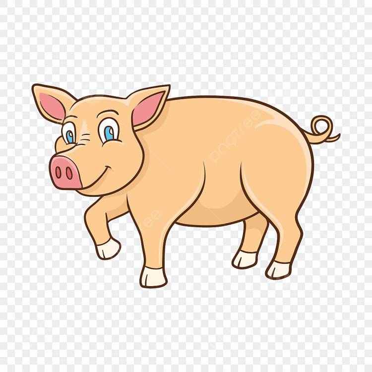 рисованной свинья в мультяшном стиле каракули PNG , милая свинья, свинья иллюстрация, мультфильм свинья PNG картинки и пнг рисунок для бесплатной загрузки