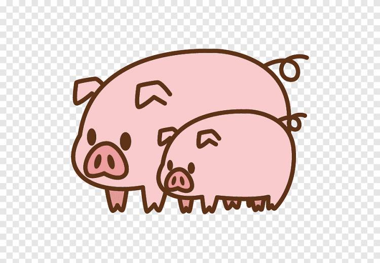 Домашняя свинья Силуэт, Мультяшная свинья, мультипликационный персонаж, млекопитающее png