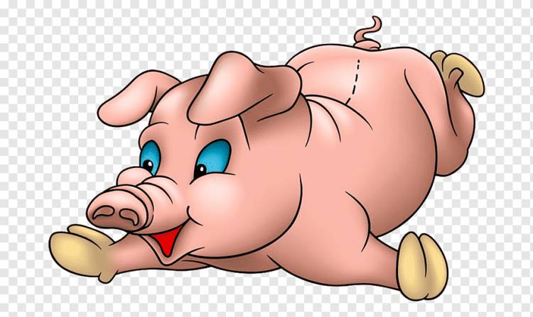 Поросенок мультфильм, свинья, комиксы, млекопитающее, животные png