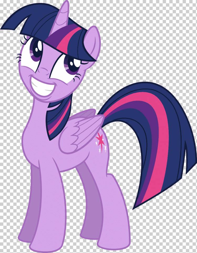 Twilight Sparkle My Little Pony