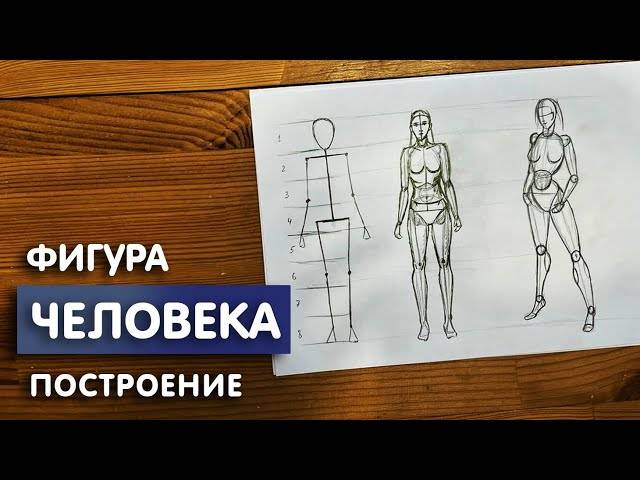 Как нарисовать тело человека карандашом
