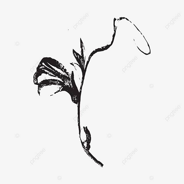 Черно белые растения рисования линий листьев PNG , рисунок, Черное и белое, черно белое растение PNG картинки и пнг PSD рисунок для бесплатной загрузки