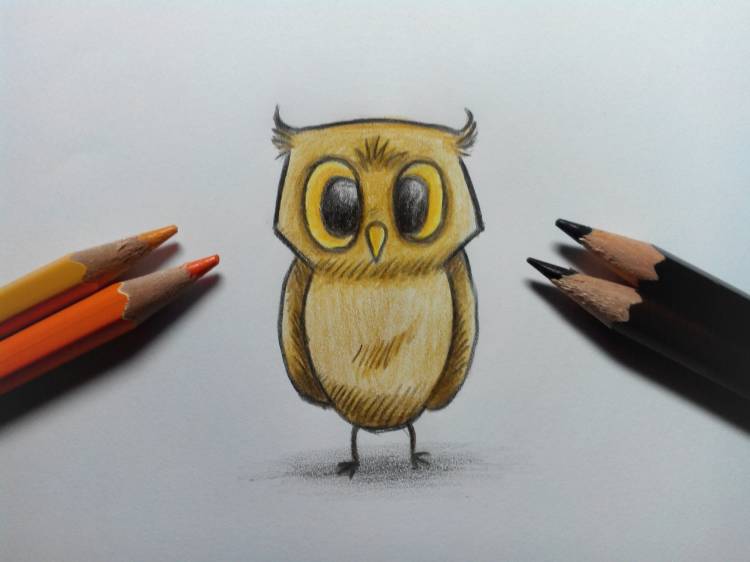 Легкие рисунки цветными карандашами для начинающих