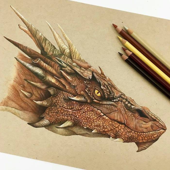 Картинки и рисунки драконов для срисовки